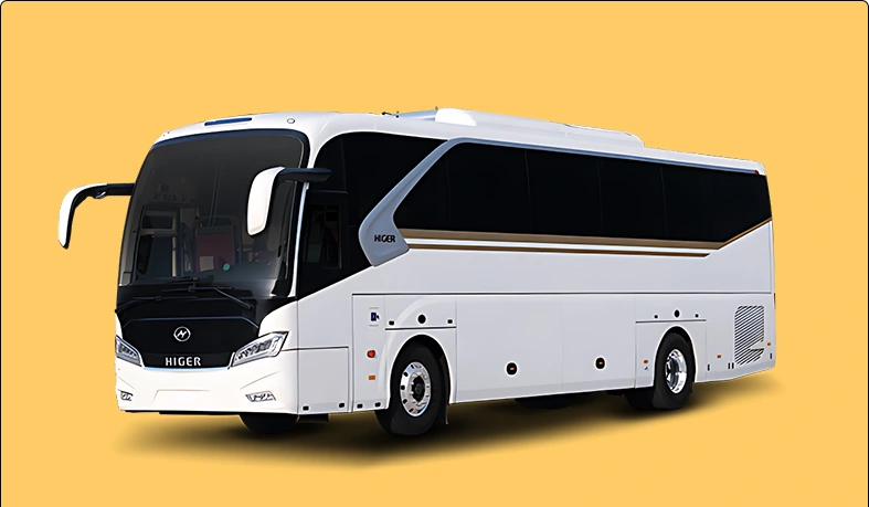 50 Seater Bus Rental